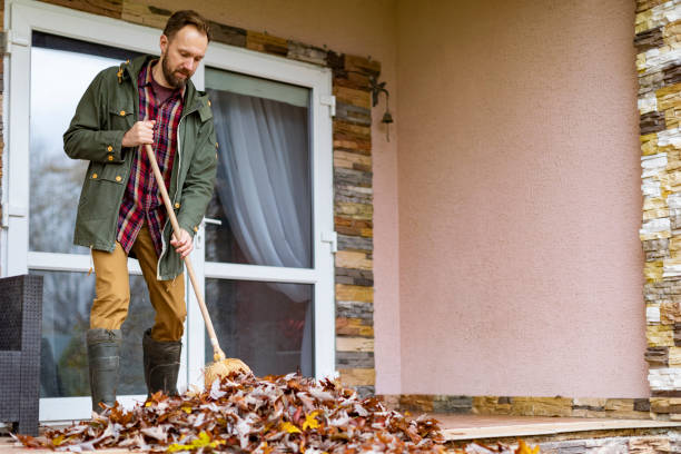 Professional Junk Removal in Valley Springs, CA