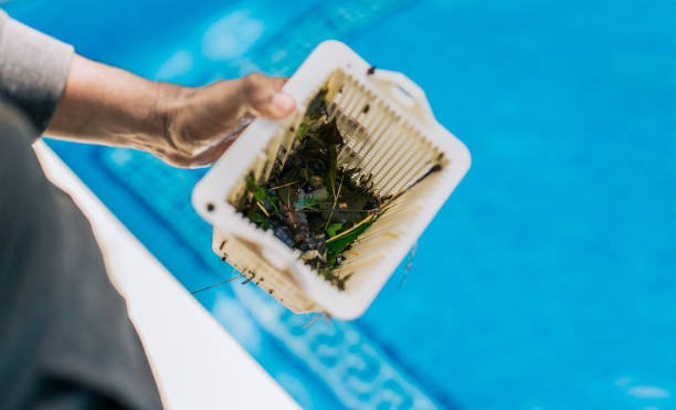 Best Estate Cleanout Services  in Valley Springs, CA